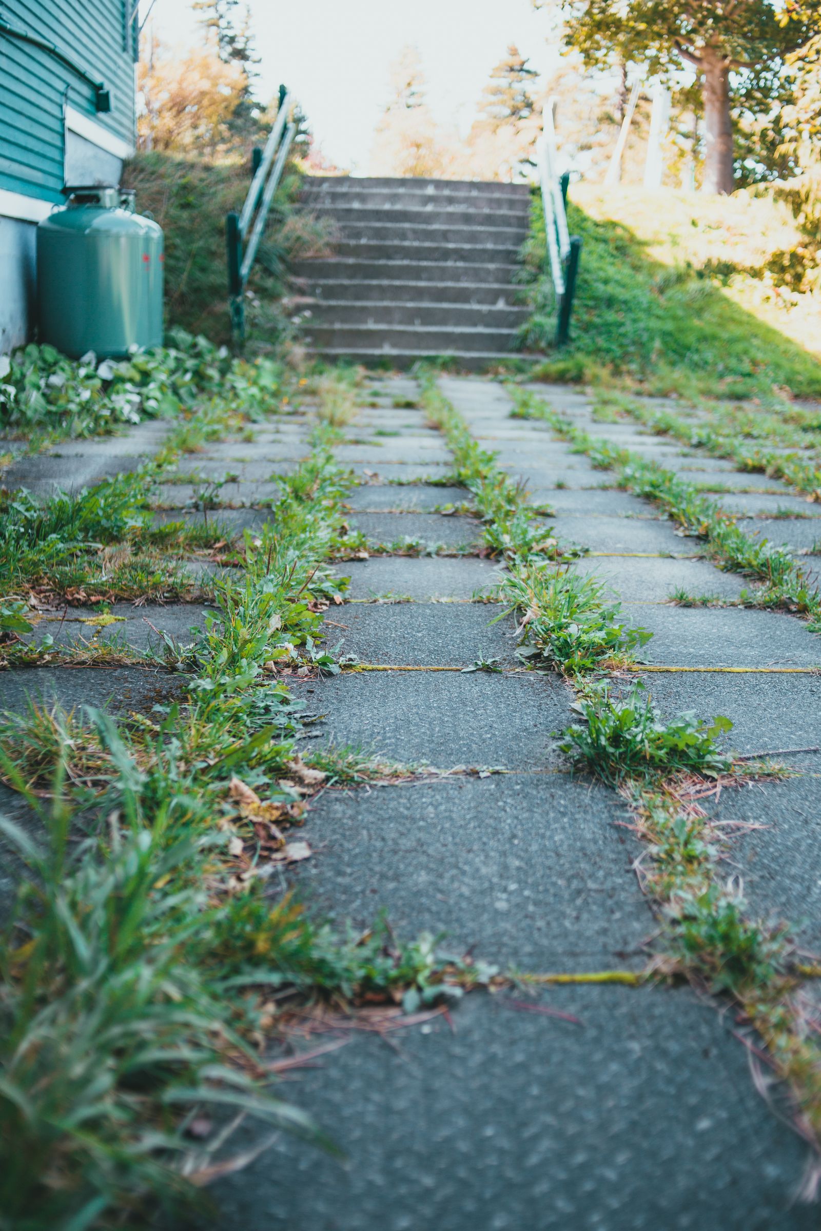 Before: A weedy side path reset with new stone, edging, and plantings that fit the shade.